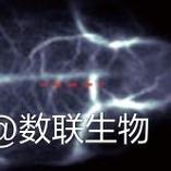 荧光成像在材料科学研究中的应用与产品选择指南